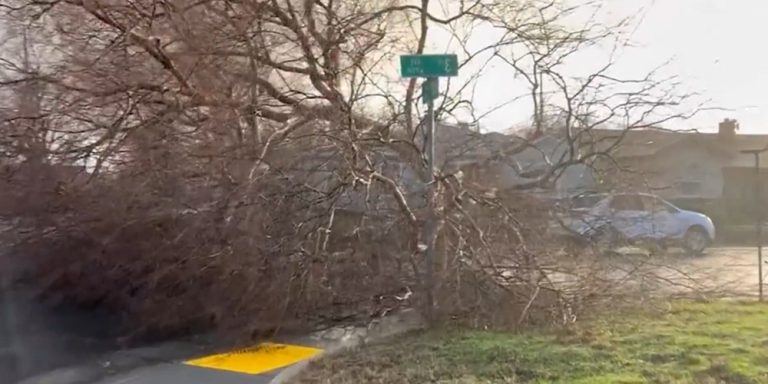 क्यालिफोर्नियामा आँधीका कारण थप १९ जनाको मृत्यु