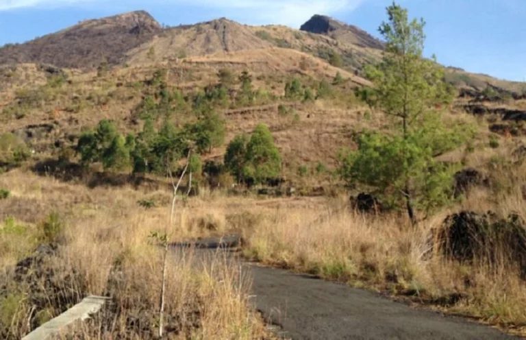 बाली टापुमा खडेरीजन्य आपतकाल घोषणा