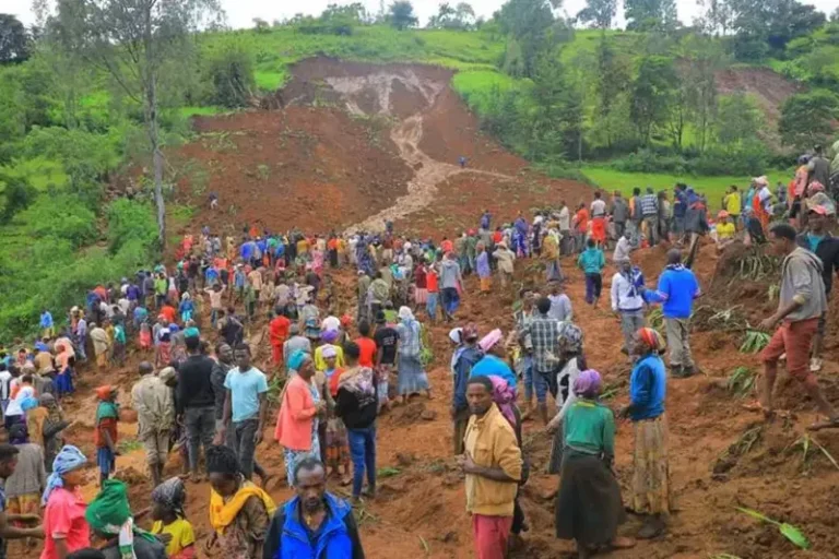 इथियोपियामा पहिरोमा परेका २२९ जनाको शव निकालियो